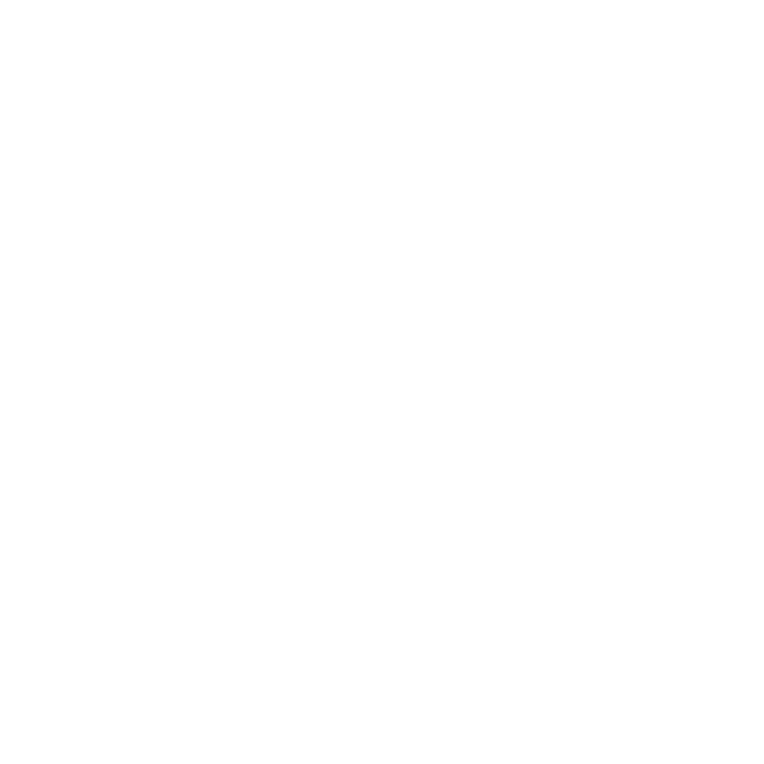 BOOST logo